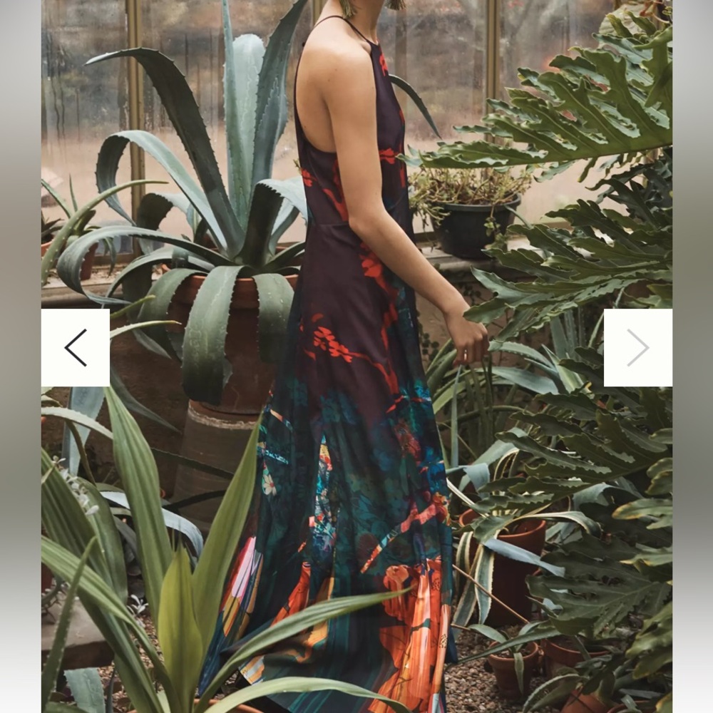 Cadence Printed Maxi Dress